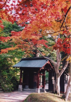 写真:中野もみじ山