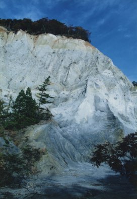 写真:西海岸 日本キャニオン